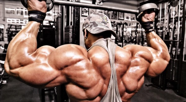 7 Essential Muscle Building Tips