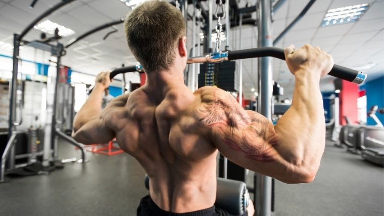 The 7 Best Back Exercises for Strength and Muscle Gain | BarBend